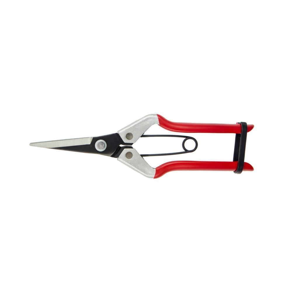 Darlac Vine Scissors