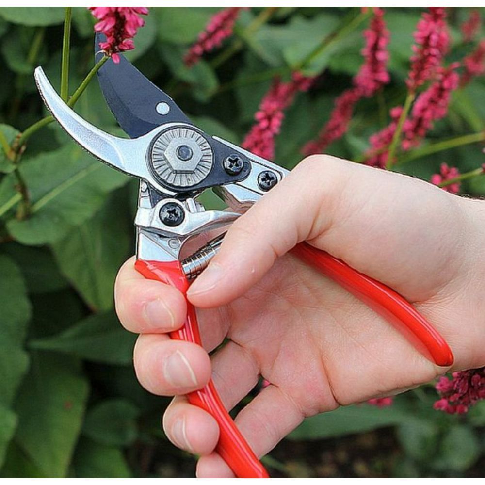 Darlac Small Professional Bypass Pruner