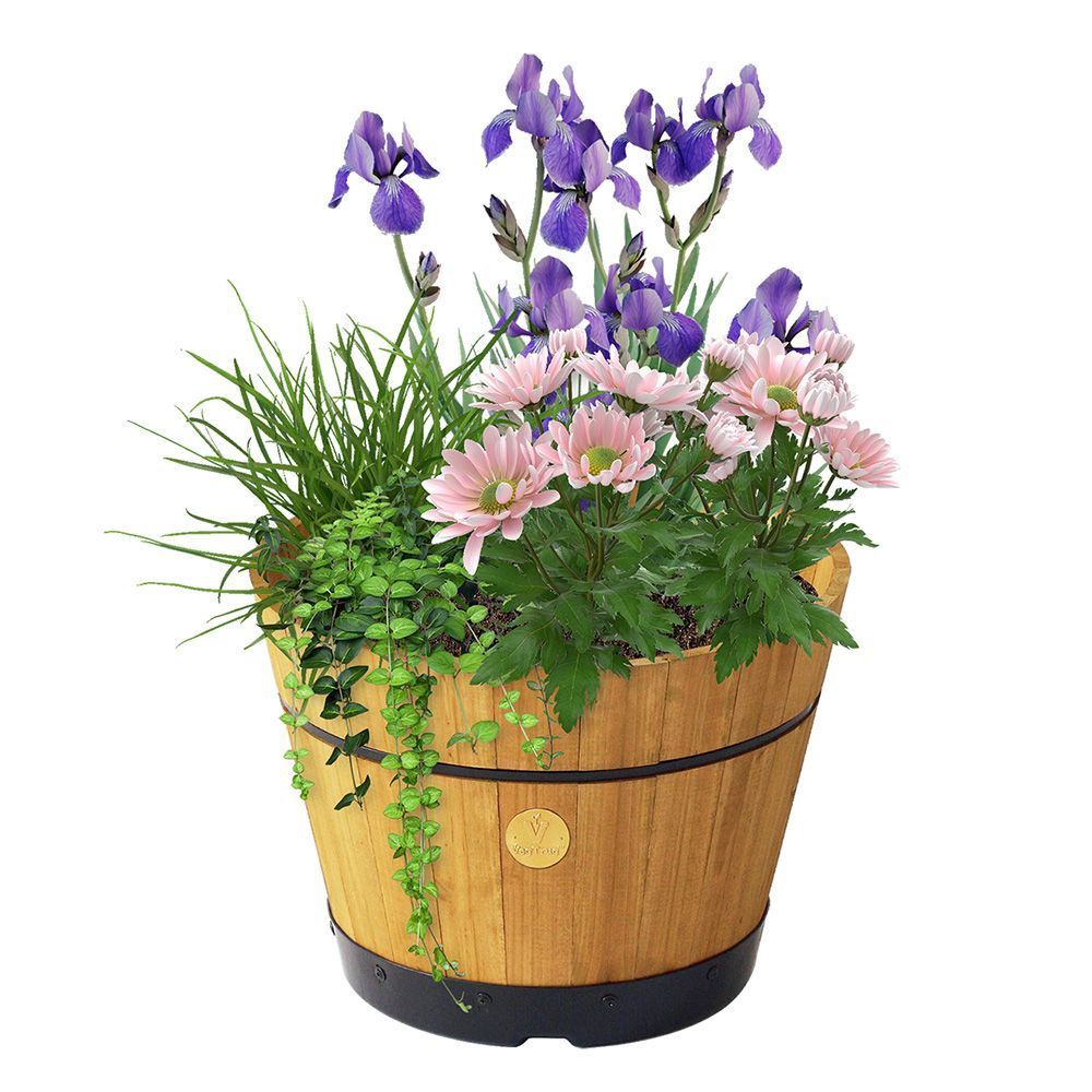 VegTrug Barrel Planter Small 37cm - Natural (FSC 100%)