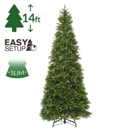 National Tree Dunhill Fir Slim Tree 4.3m (14ft)