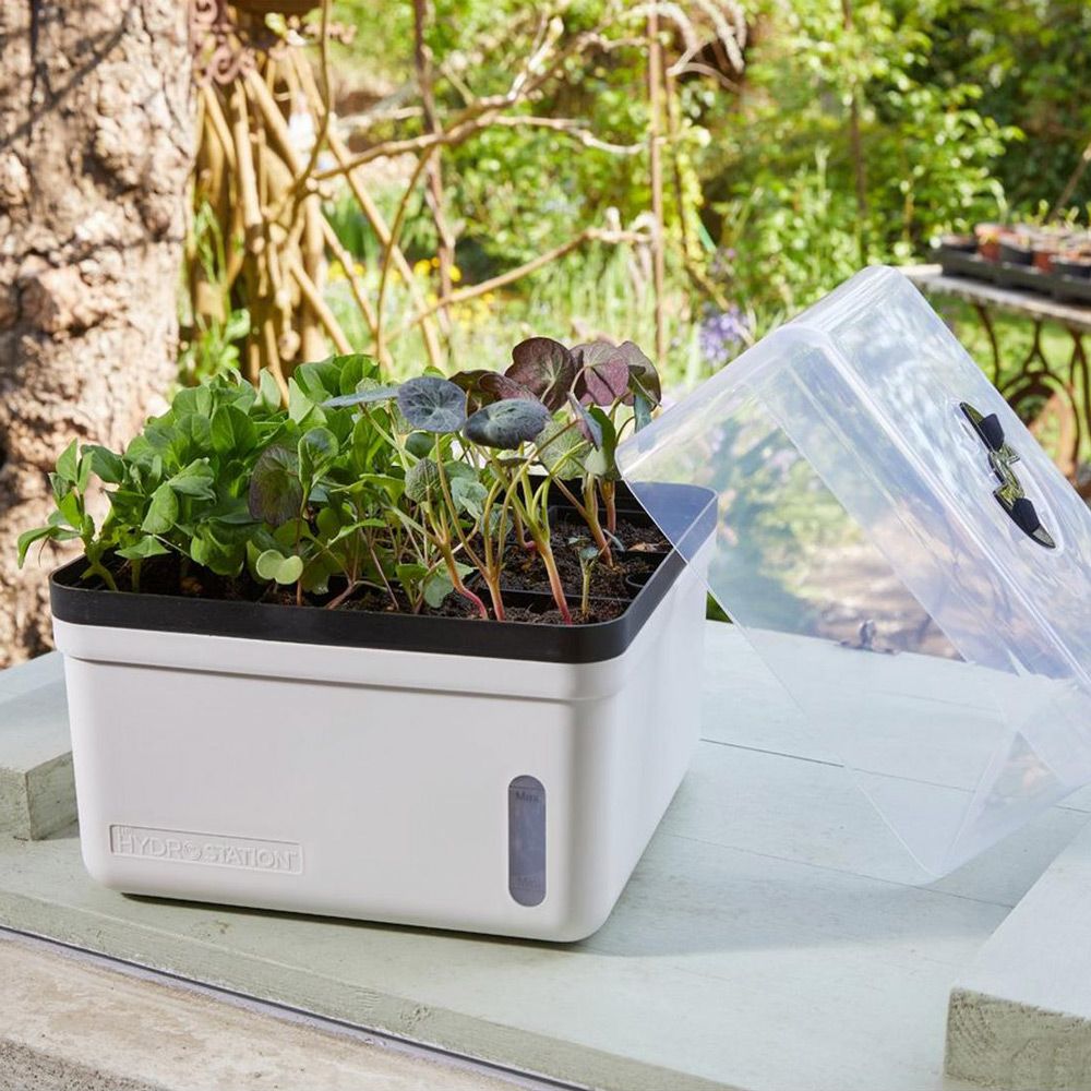 Smart Garden Perfect Propagator