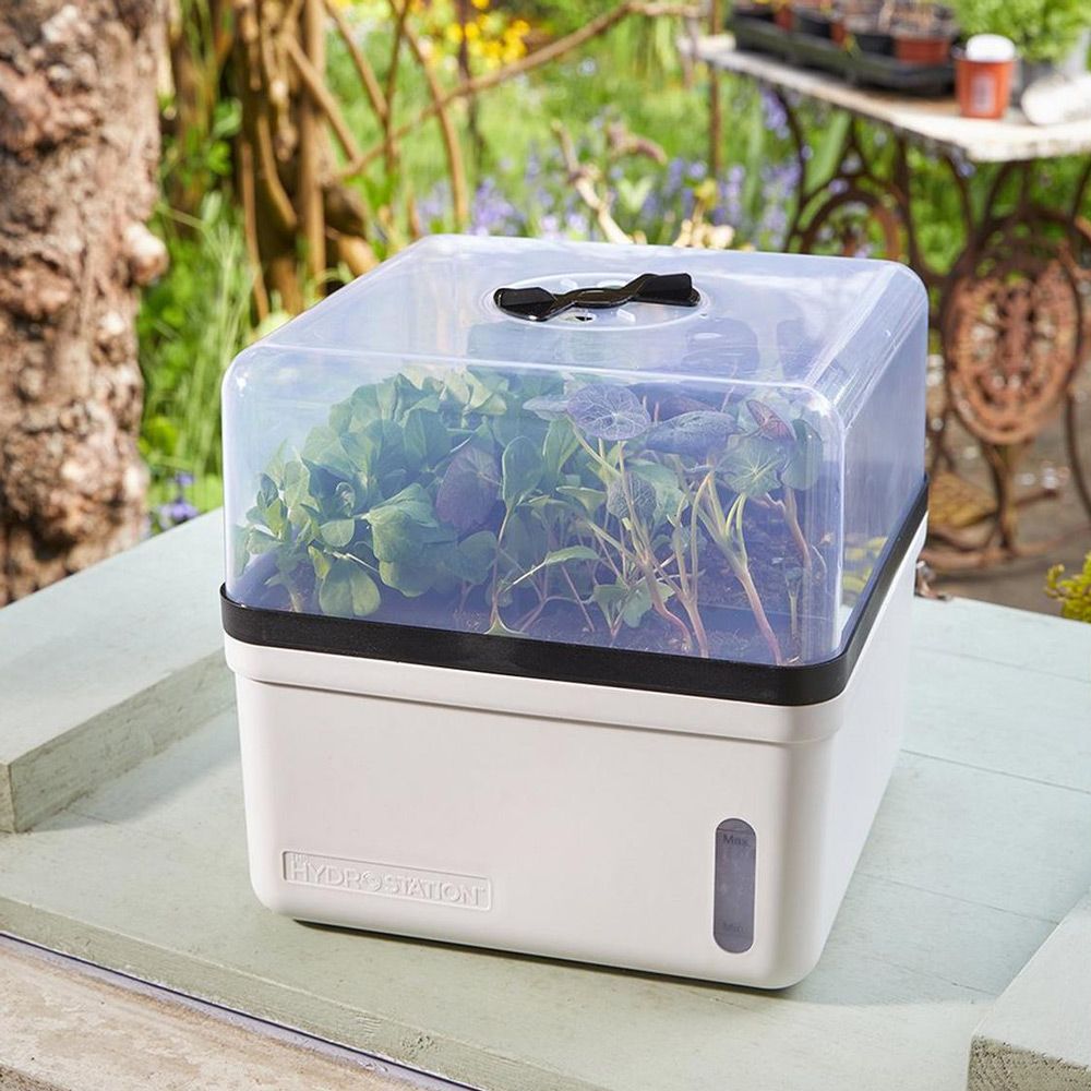 Smart Garden Perfect Propagator