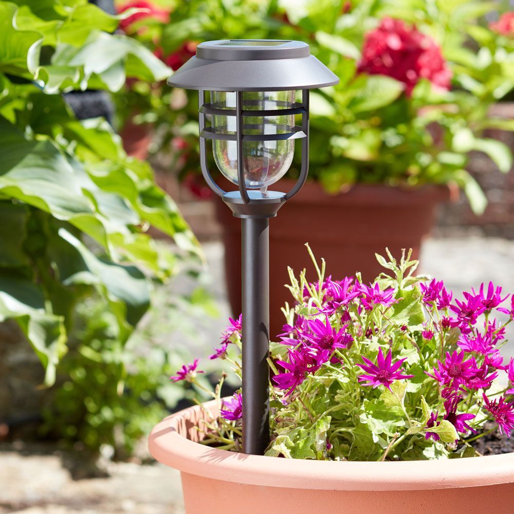 Smart Garden Avant Stake Lights - 5 Pack