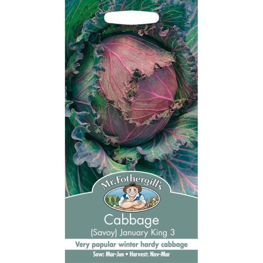 Mr Fothergill's Cabbage Savoy January King 3