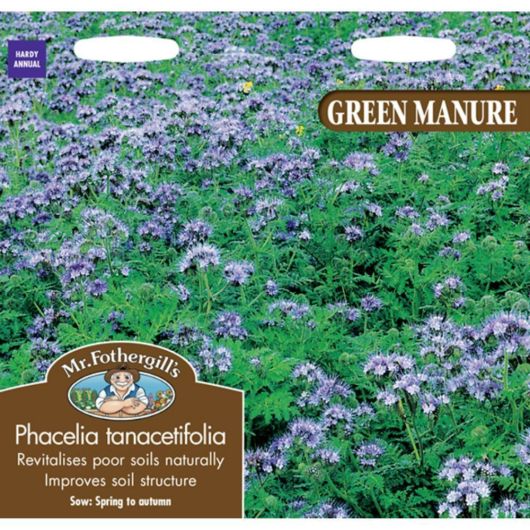 Mr Fothergill's Green Manure Phacelia Tanacetifolia