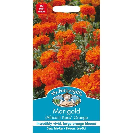 Mr Fothergill's Marigold African Kees' Orange