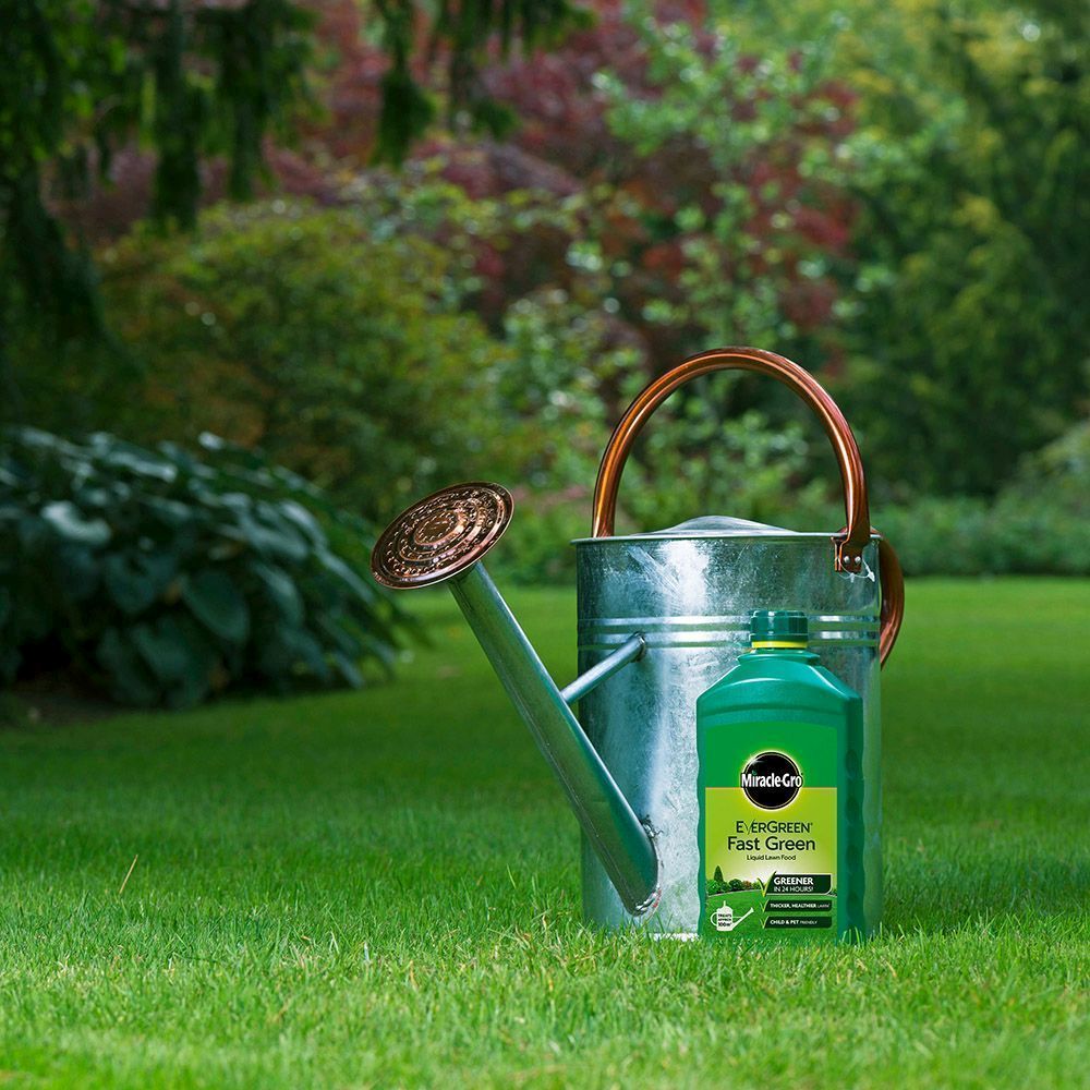 EverGreen® Fast Green Liquid Concentrate 1L (100m²)