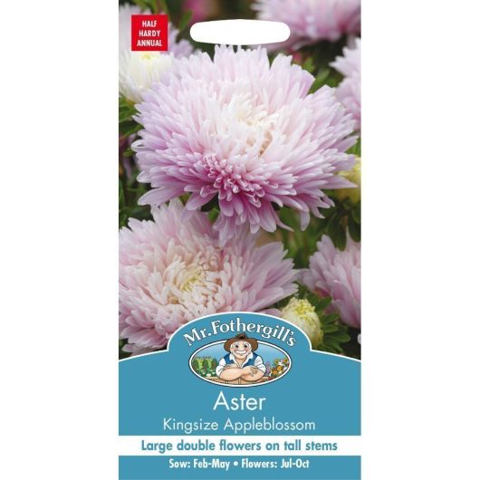 Mr Fothergill's Aster Kingsize Appleblossom