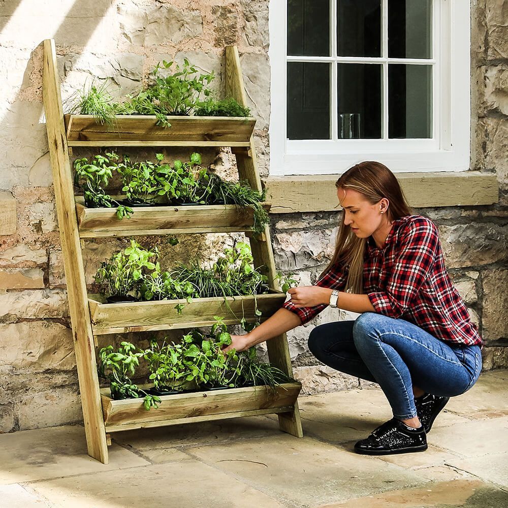 Zest Ladder Planter