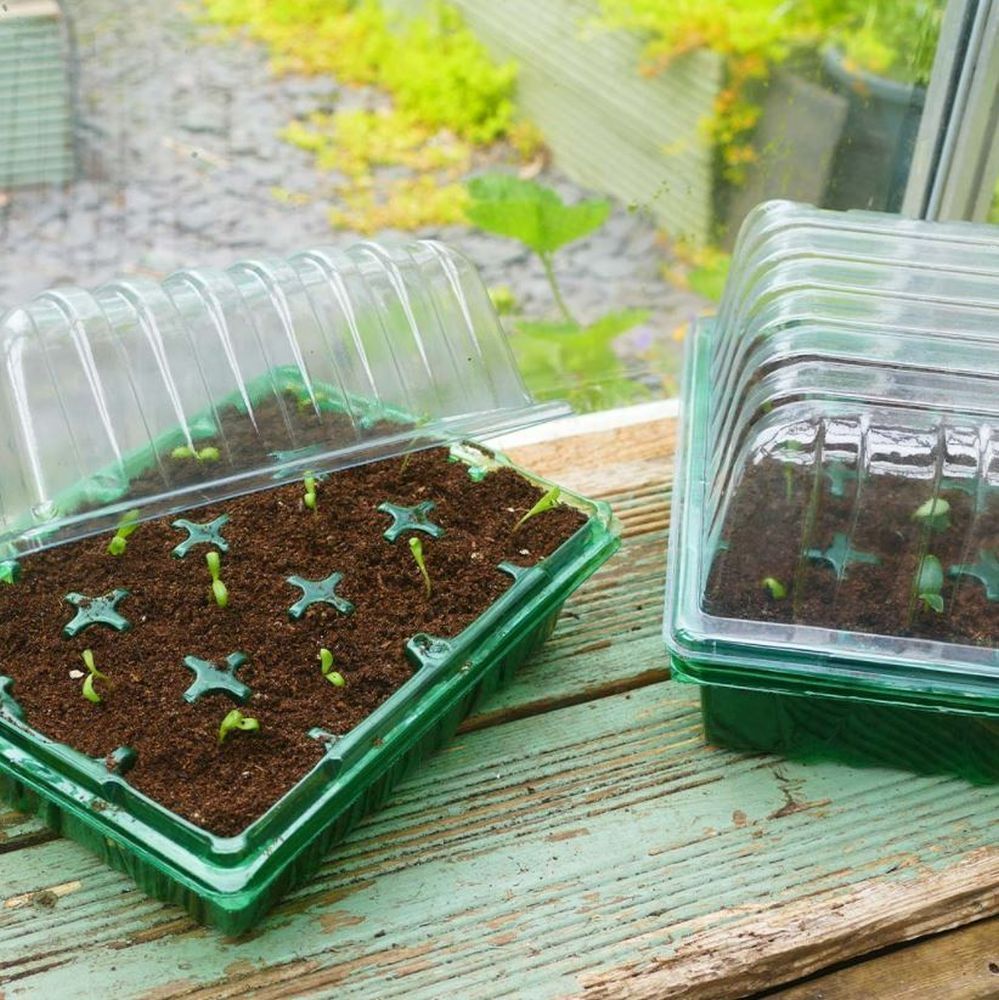 Gro-Sure Visiroot Twin Propagator Set 23cm