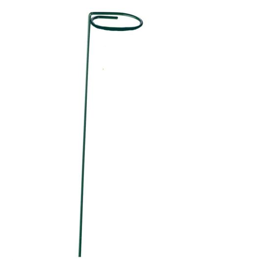 Single Stem Plant Support 60cm - 3 Pack