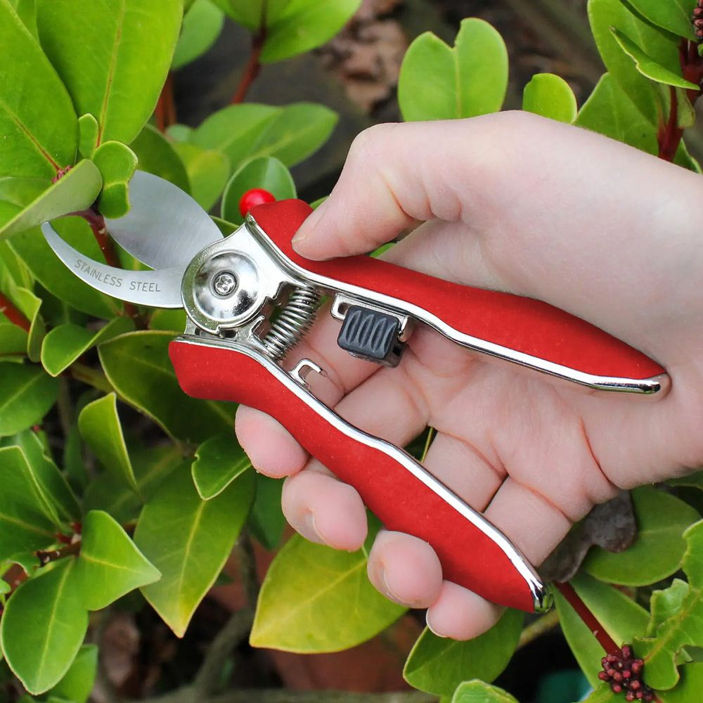 Darlac Mini Bypass Pruners