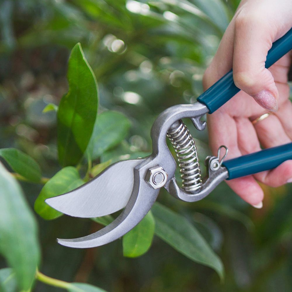 Sarah Raven Drop Forged Bypass Secateurs