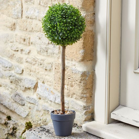 Smart Garden Uno Topiary Tree 40cm