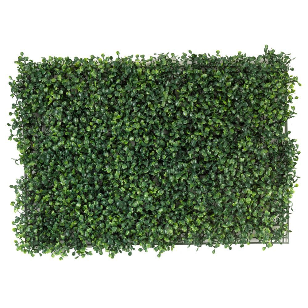 Smart Garden Boxwood Screening Panel 60x40cm