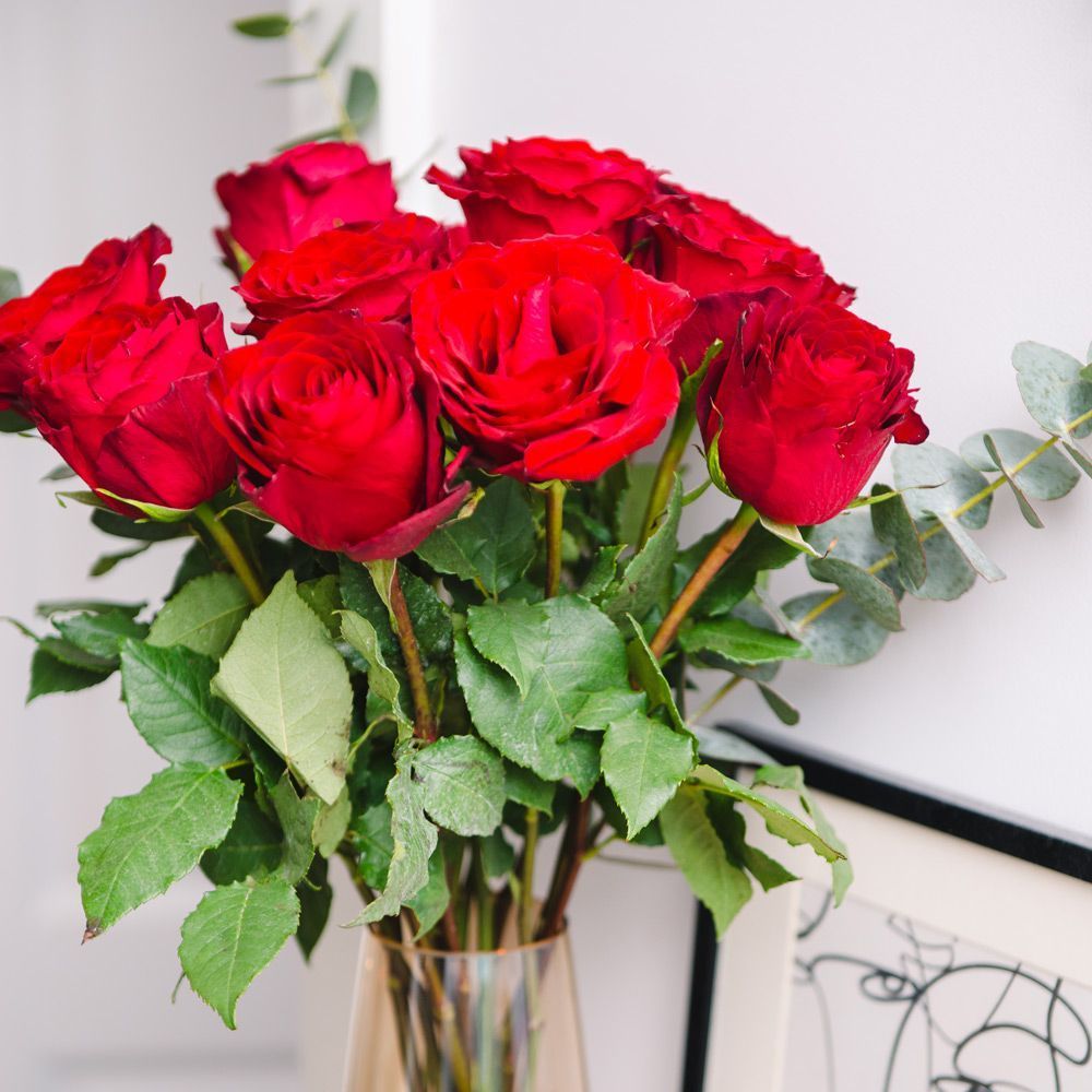 Dozen Red Roses Bouquet