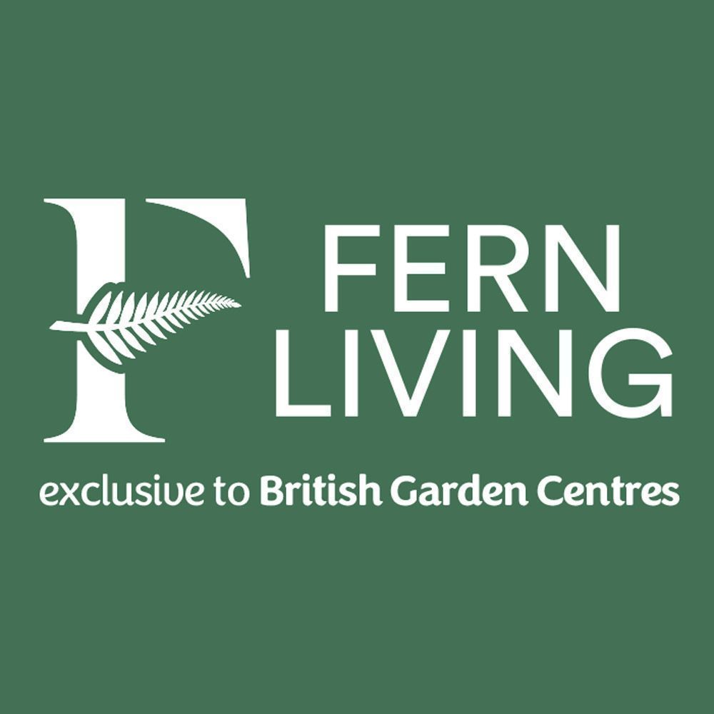 Fern Living Rutland 4 Seat Set