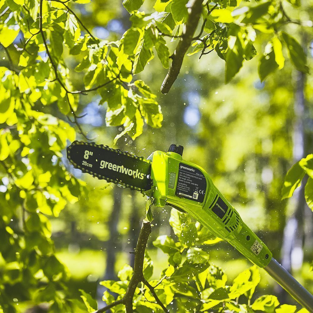 Greenworks 24V 20cm Cordless Polesaw (Tool Only) 