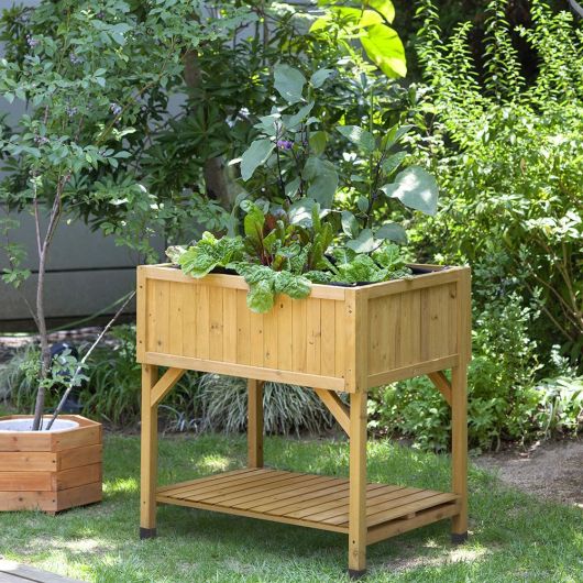 VegTrug Raised Bed Planter