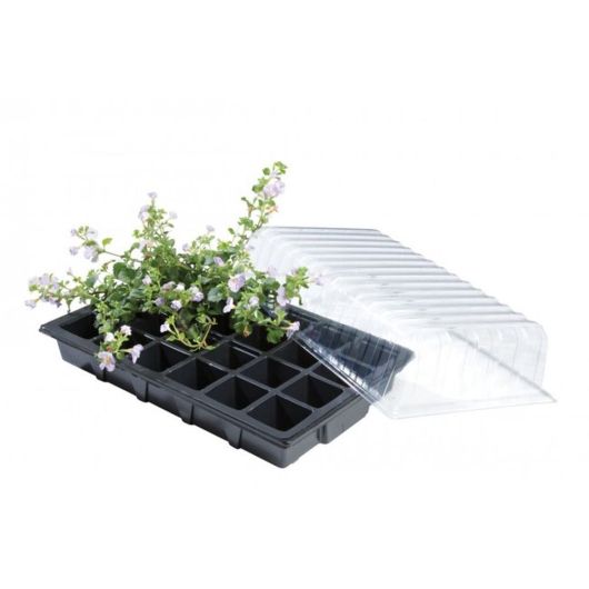 Garland Standard Propagator - 37cm x 23cm