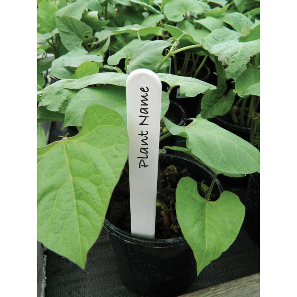 Garland 15cm White Plant Labels - 25 Pack