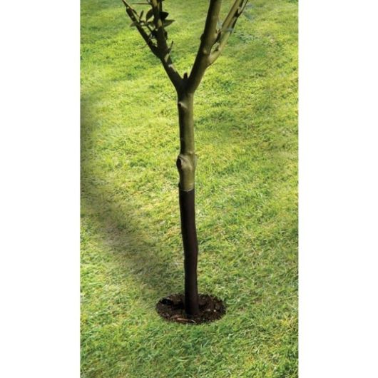 Garland 61cm Spiral Tree Guard